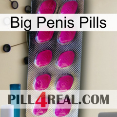 Big Penis Pills 09